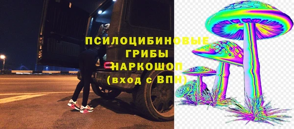 винт Богородицк