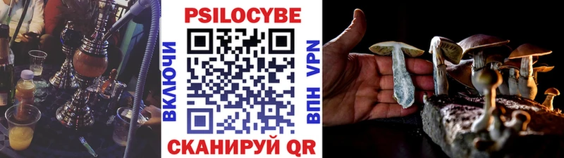 Псилоцибиновые грибы мухоморы  продажа наркотиков  Йошкар-Ола 