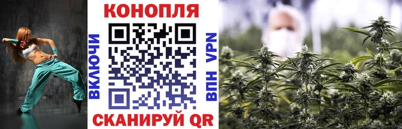 Каннабис гибрид Йошкар-Ола